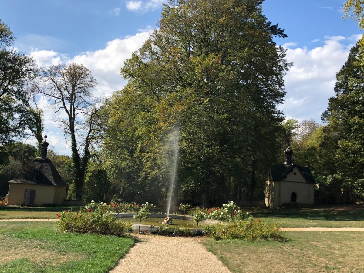 Chateau De Moison, Domaine Eco Nature Ivoy-le-Pre Экстерьер фото