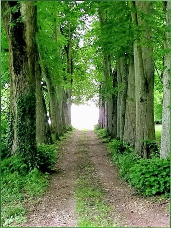 Bed and Breakfast Chateau De Moison, Domaine Eco Nature Ivoy-le-Pre Экстерьер фото