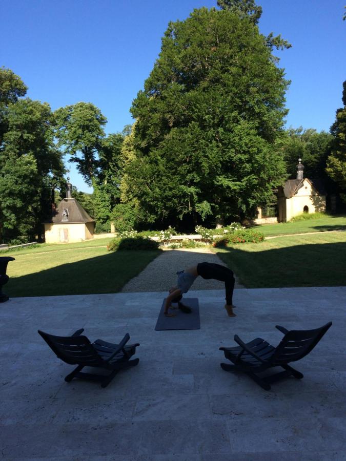 Chateau De Moison, Domaine Eco Nature Ivoy-le-Pre Экстерьер фото